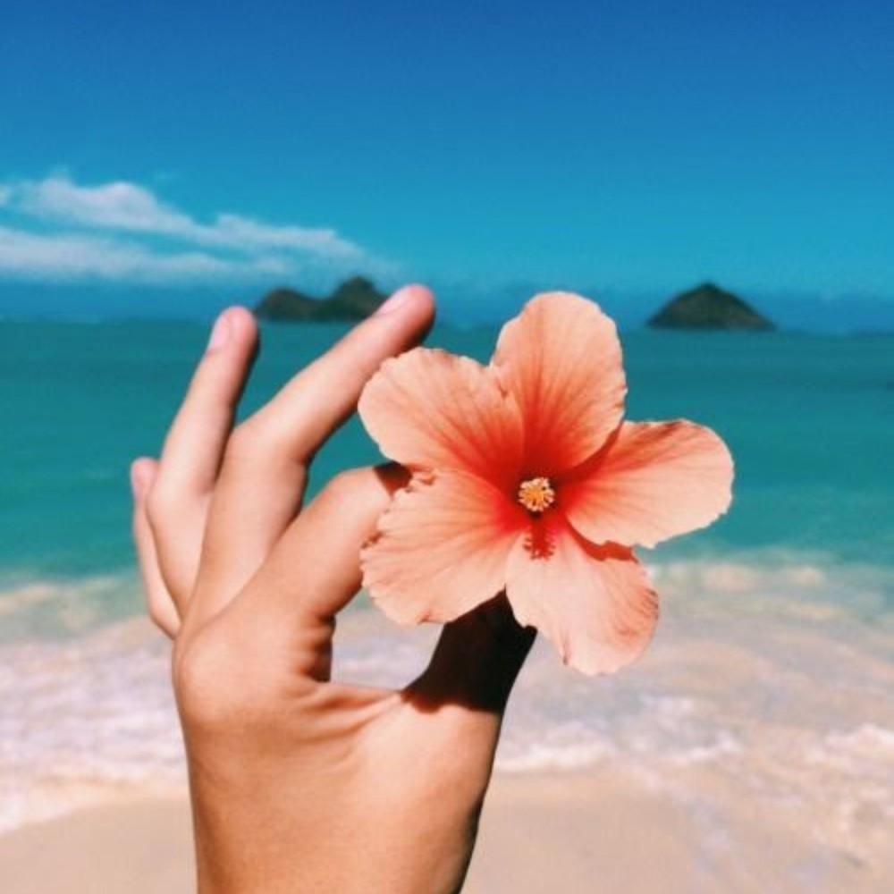 Meet your Posher, Waleska